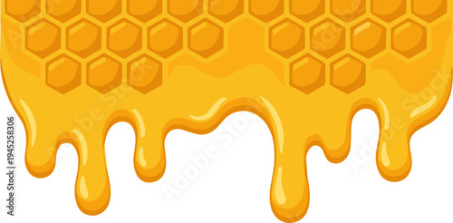 Honey Dripping Border