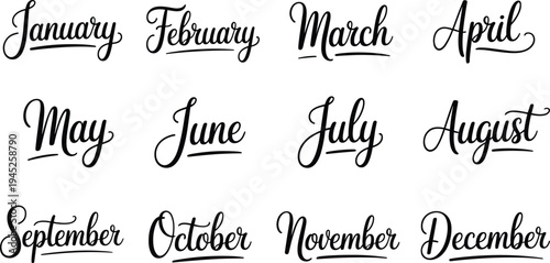 Twelve months of the year written in black cursive script with decorative underlines january february