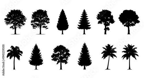 Minimal CAD tree drawings, side view outline trees for architectural and landscape plans
