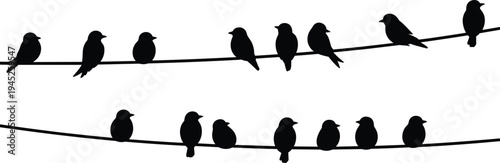 Black Bird Silhouettes Sitting on Power Lines Vector Illustration for Nature Wildlife Communication Connectivity Minimalist Background and Spring Season Concept
