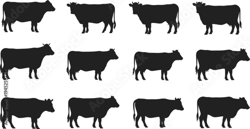 Full Zip Fleece Vest Technical Flat Sketch Vector Template with High Collar and Welt Pockets for Men and Women Fashion Design