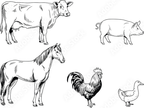 Hand Drawn Vintage Farm Animal Sketch Set Featuring Cow Pig Horse Rooster and Duck for Rustic Organic Agriculture Branding Vector