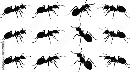 Set of Black Ant Silhouettes in Various Poses and Perspectives for Nature Illustration Pest Control Branding Teamwork Concept and Entomology