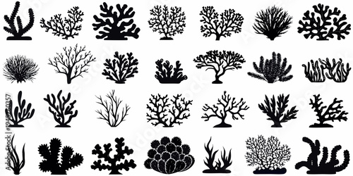 Collection of black silhouette coral and seaweed shapes on white background