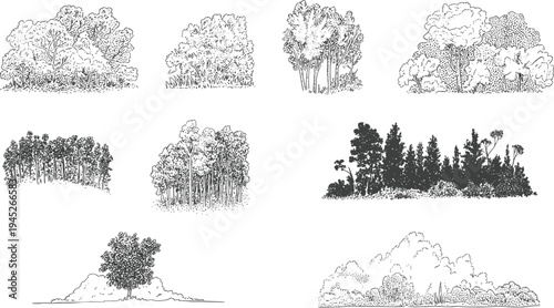 Nine black and white of various tree and forest landscapes with different styles and compositions