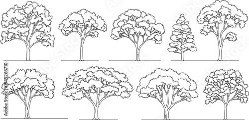 Nine different types of trees drawn in black and white line style line black and white nature outdoor