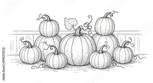 A detailed black and white line art drawing of a group of pumpkins, some stacked, with a large central pumpkin featuring a leaf and tendrils, evoking autumn harvest.