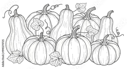 Detailed line art illustration featuring a harvest of diverse pumpkins and gourds, ideal for autumn-themed coloring pages.