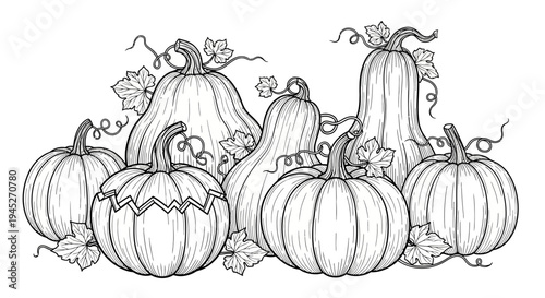 Black and white line art illustration of a variety of pumpkins and gourds with leaves and vines, perfect for coloring or autumn designs.