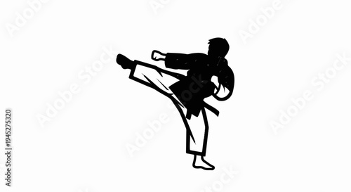 Silhouette of a martial artist performing a high side kick with right leg