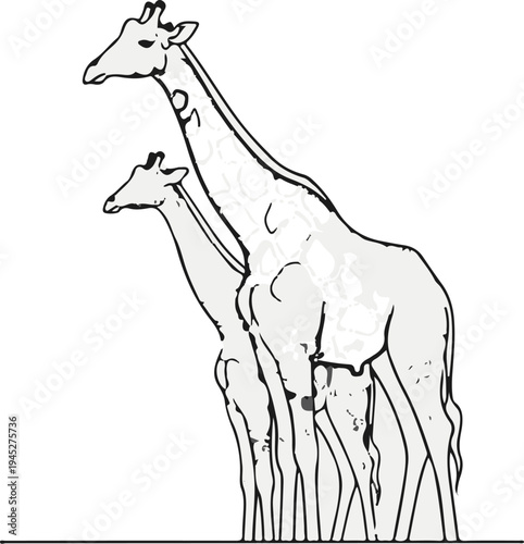 Two giraffes, one smaller than the other, stand side by side