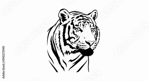 Striking black and white portrait of a tiger's intense gaze and patterned face