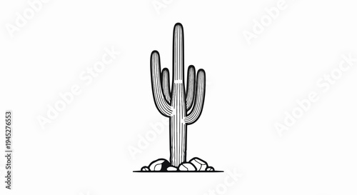 Stylized black and white saguaro cactus with ribbed texture and rocky base