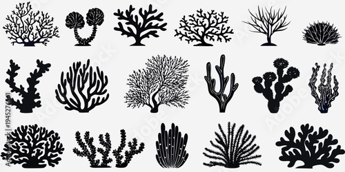 Collection of diverse black silhouettes depicting various coral and plant life