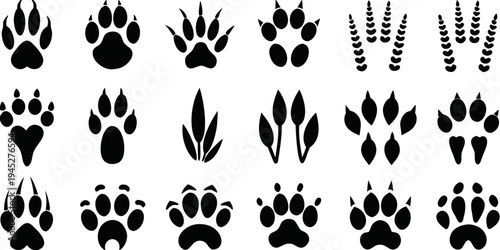 Variety of animal paw prints arranged in a grid pattern