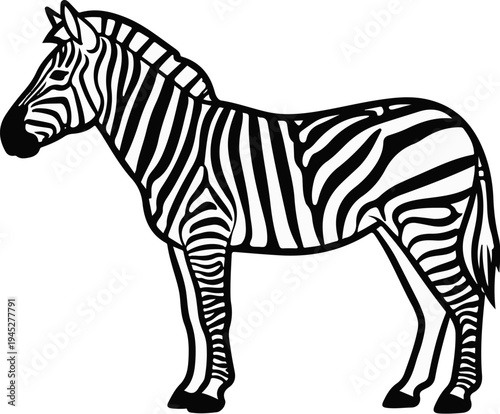 Stylized black and white illustration of a zebra standing against a white background