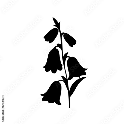 Elegant silhouette of a bellflower plant, conveying a sense of nature and simplicity
