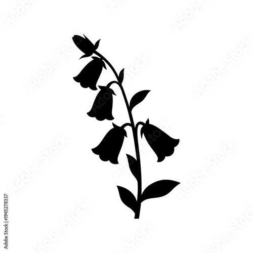 Black silhouette of foxglove digitalis plant with bell shaped hanging flowers