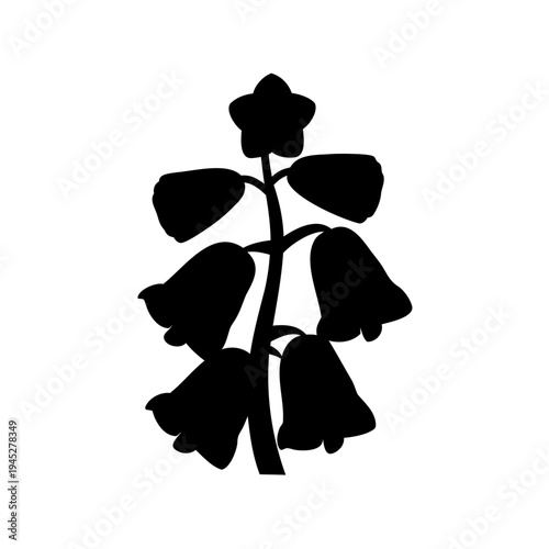 Silhouette of elegant bell shaped flower plant with a blooming bud