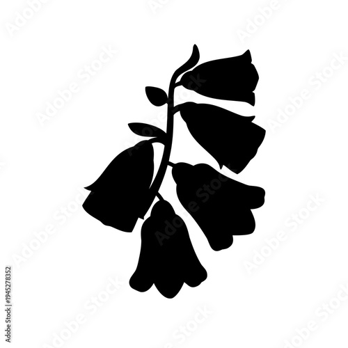 Silhouette image of a Foxglove flower stem isolated on white background