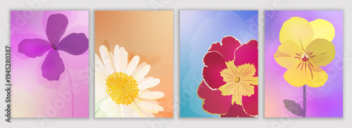 Wildflower botanical template set with copy space featuring daisy primrose pansy and dames rocket