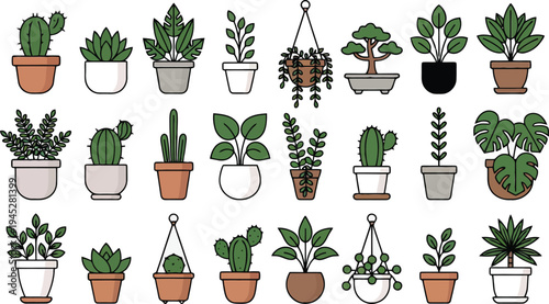 Set of potted house plants and succulents illustration collection for home decoration
