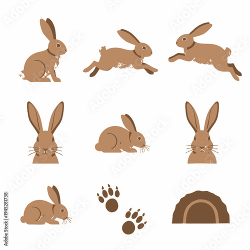 Realistic rabbit and hare illustration set in brown, showcasing various actions, head views, and a burrow icon with paw prints.