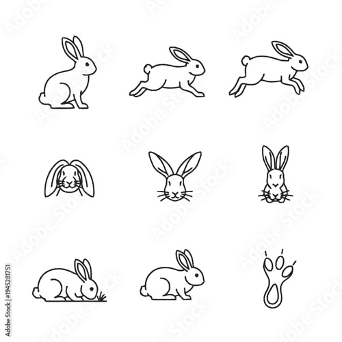 Rabbit and hare line art icon set in various action poses, including sitting, running, jumping, and eating, with head shots and paw print.