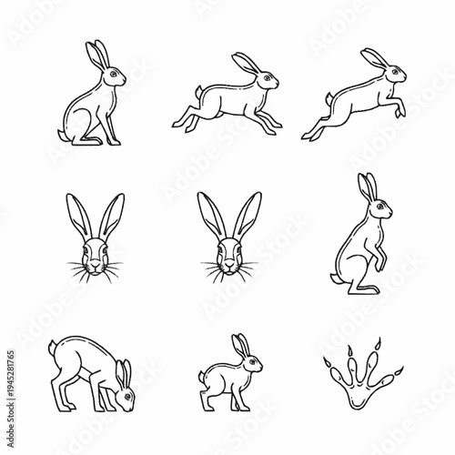 Hare line art icon set featuring various energetic poses, including sitting, running, and standing on hind legs, with head shots and paw print.