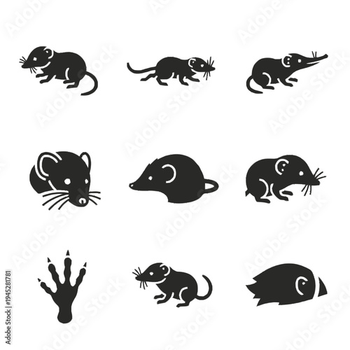 Shrew silhouette icon set in black, showcasing various active poses, head profiles, and a single paw print, with abstract animal shape.