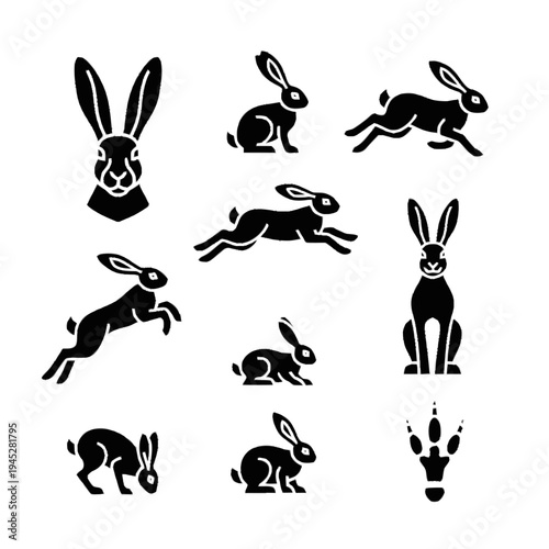 Hare bold icon set in black, with various dynamic poses like running, jumping, and sitting, featuring head profiles and paw print.