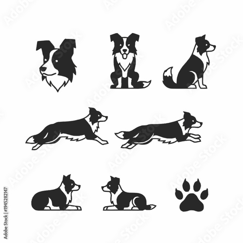 Set of black silhouette outline vector icons of Border Collie in various poses and views, including a paw print, on a white background.