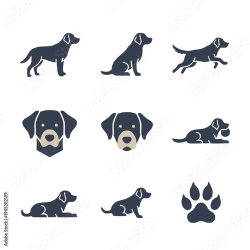 Set of flat design vector illustrations of black Labrador Retriever in various poses and views, including a paw print, on a white background.