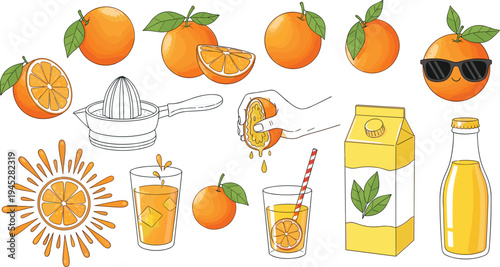 Fresh Orange Juice Illustration Set Featuring Fruit, Squeezer, Glass, Carton, and Bottle for Juicy Beverage Designs