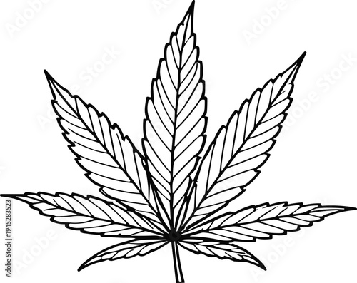 Cad drawing flat vector illustration, cannabis leaf outline isolated botanical marijuana plant black and white design