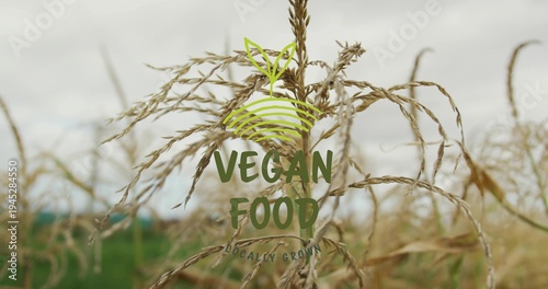 Framing single dried cereal head swaying in rural field, with green VEGAN FOOD LOCALLY GROWN logo