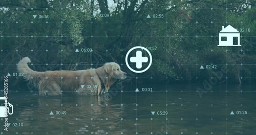 Overlay appearing, golden retriever wading in river by shrub bank, showing med, house, pump icons