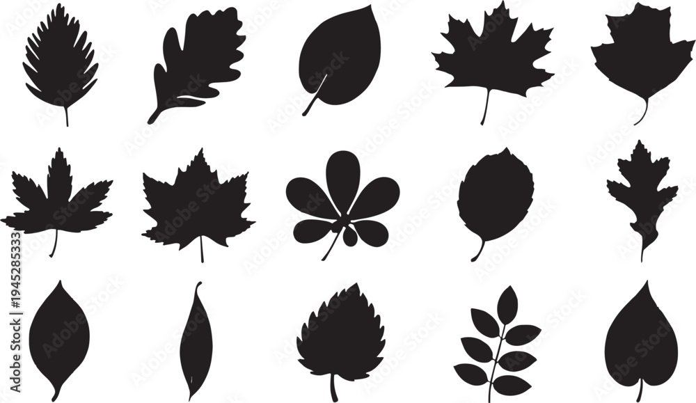 Obraz premium Set of Various Leaf Silhouettes Isolated on White Background, Black Tree Leaves Icons Collection for Nature Design, Autumn Foliage Elements for Logo and Patterns, Minimalist Eco-Friendly Graphic Asset