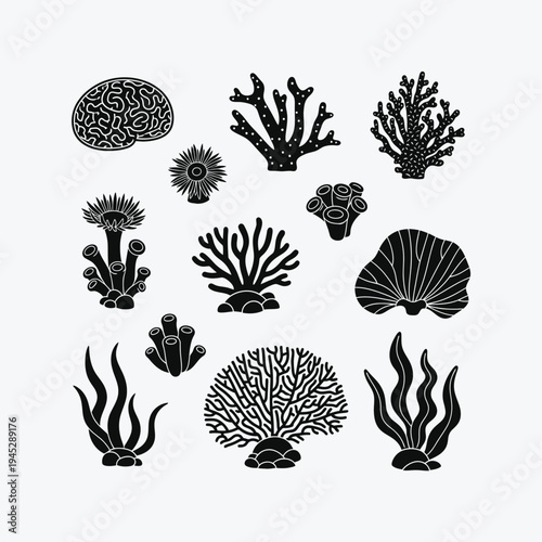 Diverse illustrations of oceanic coral and marine life forms