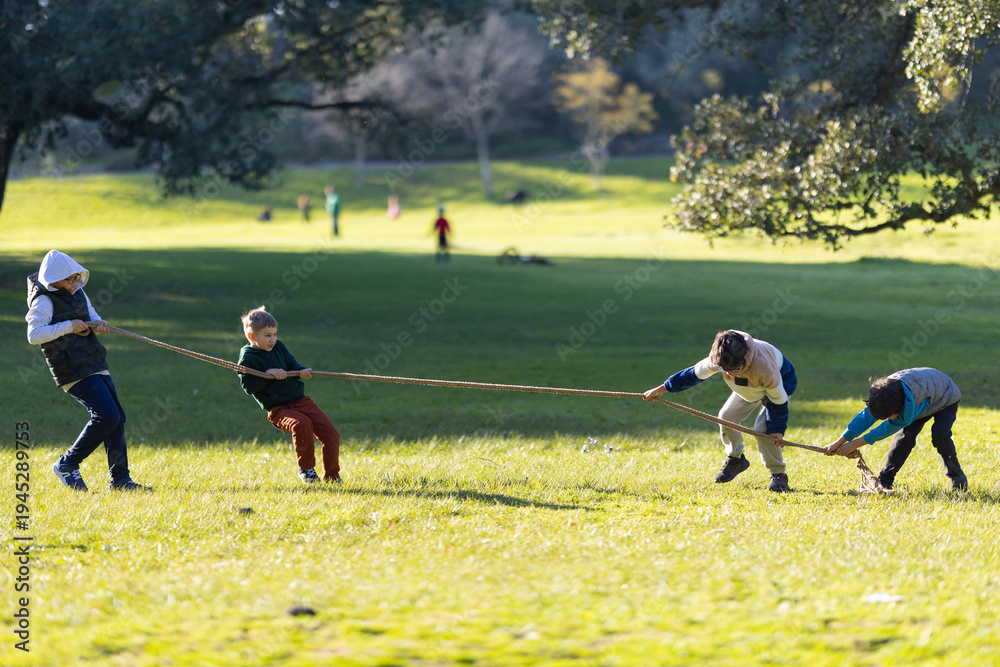 Obraz premium Young boys playing tug-of-war game in park