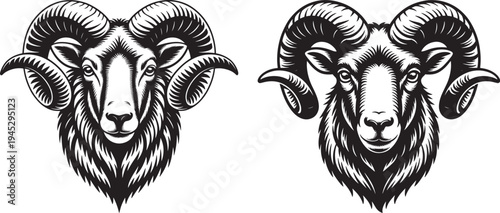 Powerful ram silhouette: fierce ram heads with large horns, tribal style, black and white