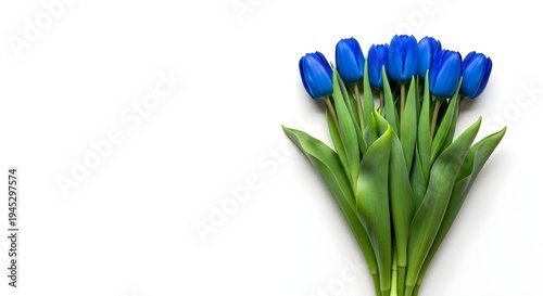 Deep Blue Tulip Bouquet Background for Seasonal Flower Festival