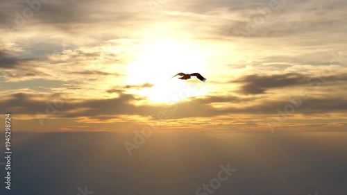 Single Bird Flying Toward Bright Sky Freedom and Hope Concept