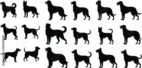 Black silhouette vector illustration of twenty different dog breeds arranged in grid format, symbolizing pets, canine diversity, animal comparison, wildlife, and creative artwork