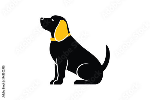 Dog with Yellow Collar, loyalty concept