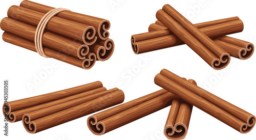 Cinnamon sticks spice vector set aromatic cinnamon bark bundles for cooking baking seasoning natural organic spice illustration collection