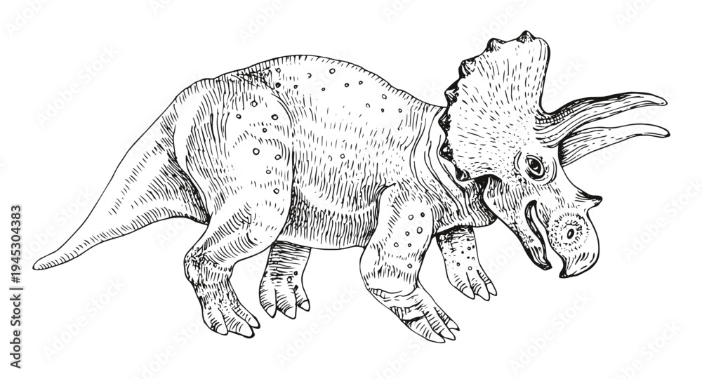 Fototapeta premium Triceratops dinosaur hand drawn vector