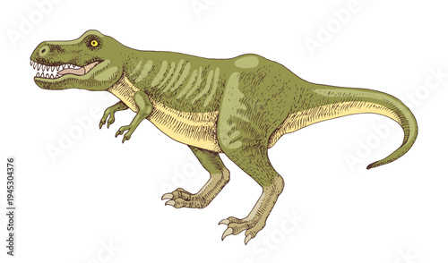 Tyrannosaurus rex hand drawn vector illustration