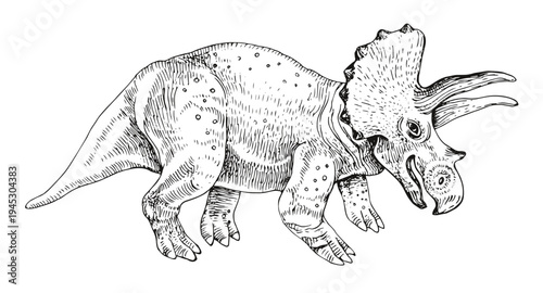 Triceratops dinosaur hand drawn vector