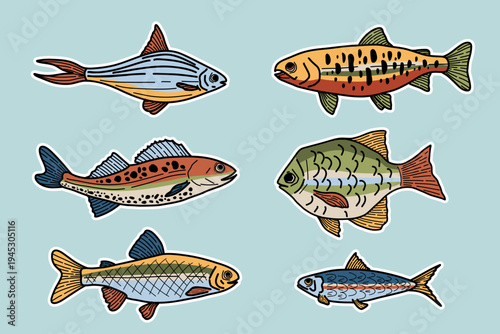 Doodle fish sticker collection. Hand drawn trout, sardine, salmon, anchovy, bass vector set. Trendy colored fish patch illustration isolated on white background.
